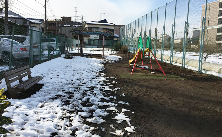 公園写真