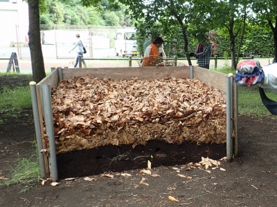 雑木林のお手入れで発見 いこいの森公園 いこいの森と周辺の市立公園ブログ