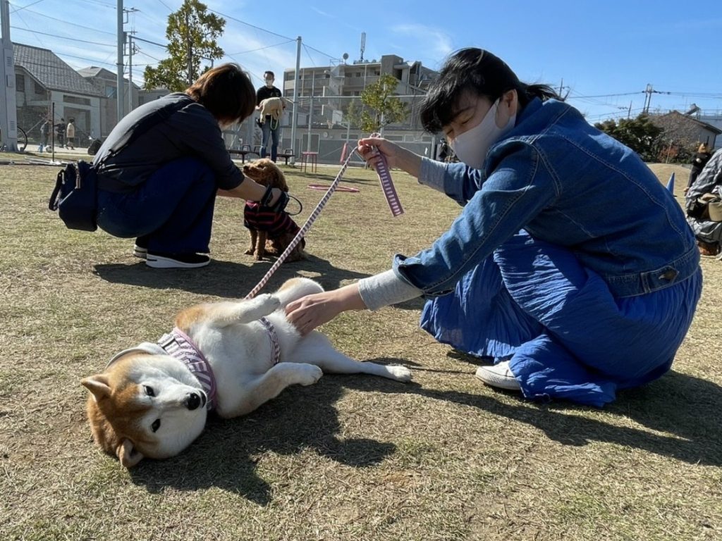 2の2_ツボ