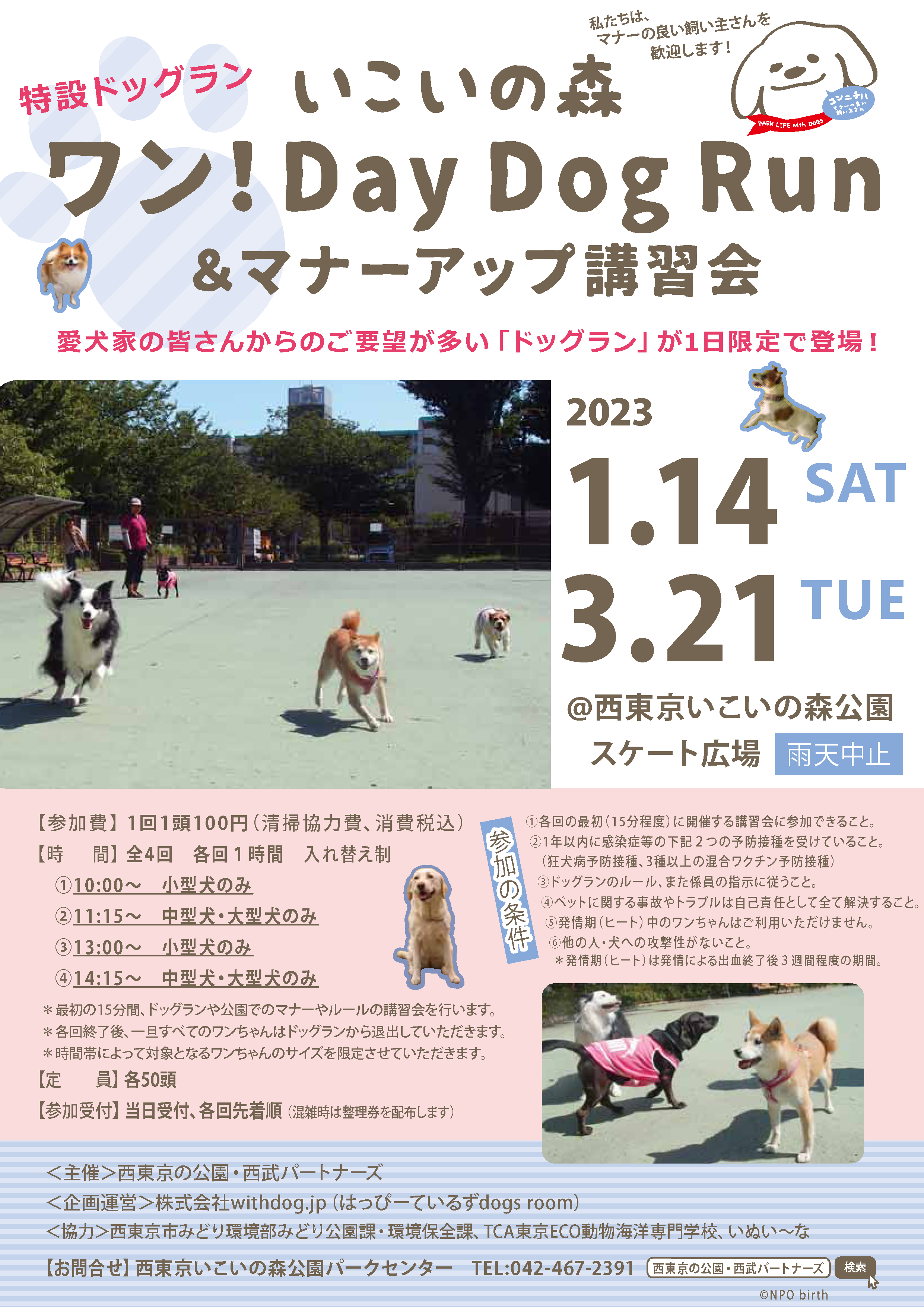 【チラシ】2022ワン！DayDogRun221216修正